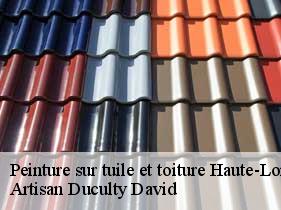 Peinture sur tuile et toiture 43 Haute-Loire  Artisan Graff