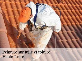 Peinture sur tuile et toiture Haute-Loire 