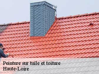 Peinture sur tuile et toiture Haute-Loire