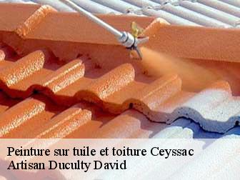 Peinture sur tuile et toiture 43000