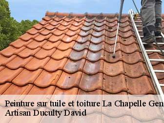 Peinture sur tuile et toiture