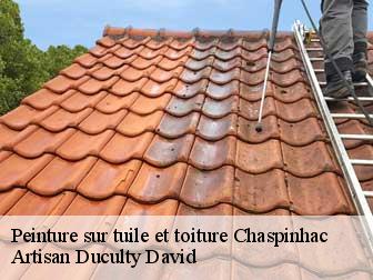 Peinture sur tuile et toiture