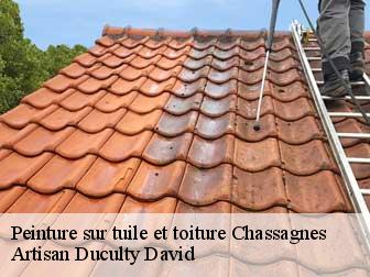 Peinture sur tuile et toiture