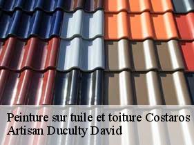 Peinture sur tuile et toiture costaros-43490 Artisan Graff