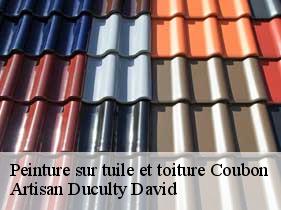 Peinture sur tuile et toiture coubon-43700 Artisan Graff