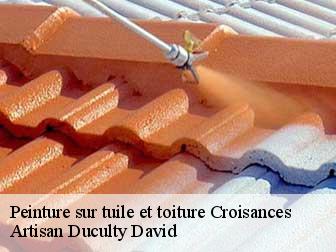 Peinture sur tuile et toiture 43580