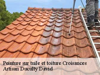 Peinture sur tuile et toiture