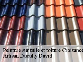 Peinture sur tuile et toiture croisances-43580 Artisan Graff