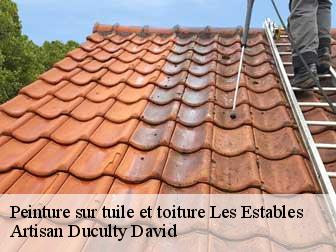 Peinture sur tuile et toiture
