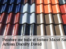 Peinture sur tuile et toiture  mazet-saint-voy-43520 Artisan Graff