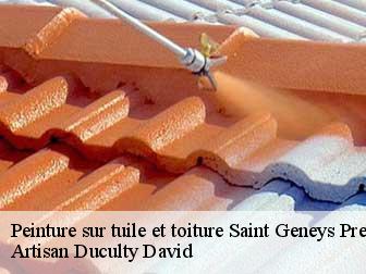 Peinture sur tuile et toiture 43350