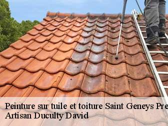 Peinture sur tuile et toiture