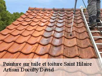 Peinture sur tuile et toiture