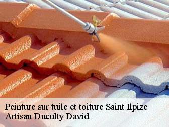 Peinture sur tuile et toiture 43380