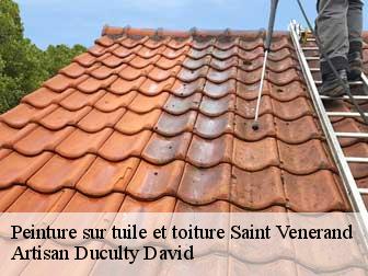 Peinture sur tuile et toiture