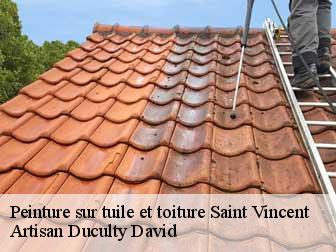 Peinture sur tuile et toiture