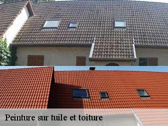 Peinture sur tuile et toiture