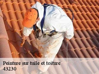Peinture sur tuile et toiture 43230