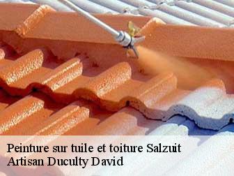 Peinture sur tuile et toiture 43230
