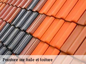 Peinture sur tuile et toiture 43230
