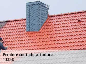 Peinture sur tuile et toiture 43230