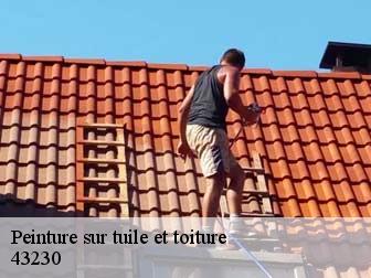 Peinture sur tuile et toiture
