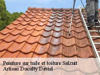 Peinture sur tuile et toiture