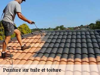 Peinture sur tuile et toiture