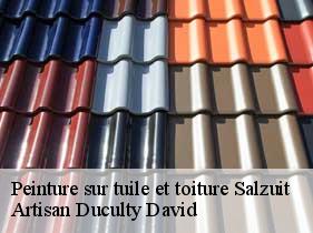 Peinture sur tuile et toiture salzuit-43230 Artisan Graff