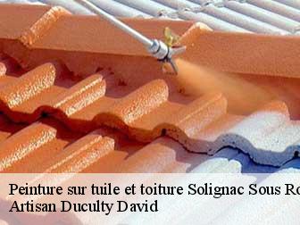 Peinture sur tuile et toiture 43130