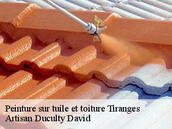 Peinture sur tuile et toiture 43130