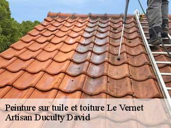 Peinture sur tuile et toiture