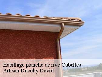 Habillage planche de rive