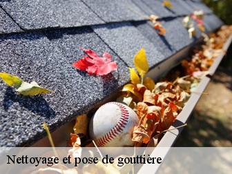Nettoyage et pose de gouttière