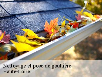 Nettoyage et pose de gouttière