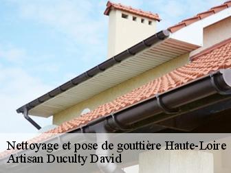 Nettoyage et pose de gouttière