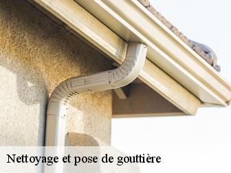 Nettoyage et pose de gouttière