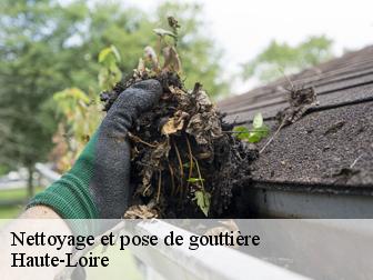 Nettoyage et pose de gouttière Haute-Loire