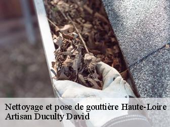 Nettoyage et pose de gouttière Haute-Loire 