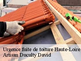 Urgence fuite de toiture 43 Haute-Loire  Artisan Graff