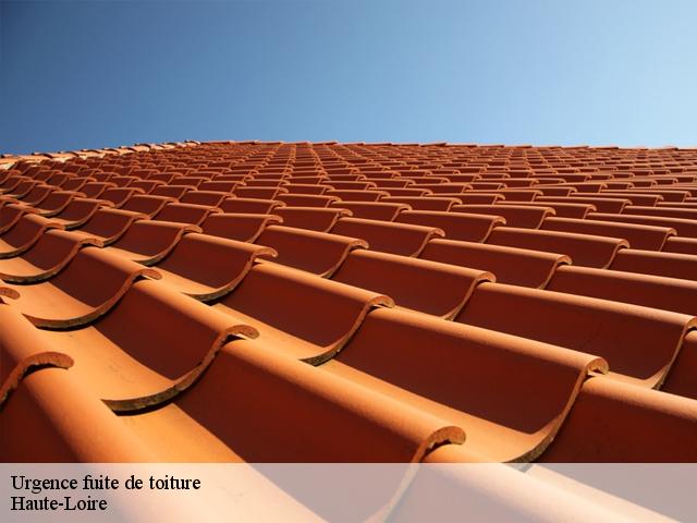 Urgence fuite de toiture