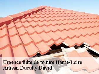 Urgence fuite de toiture Haute-Loire 