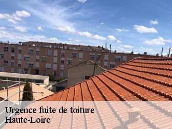 Urgence fuite de toiture Haute-Loire
