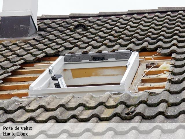 Pose de velux Haute-Loire