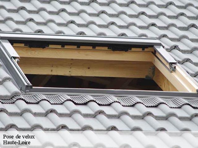Pose de velux Haute-Loire