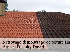 Nettoyage demoussage de toiture 43 Haute-Loire  Artisan Graff