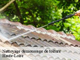Nettoyage demoussage de toiture