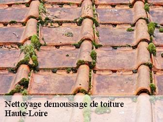 Nettoyage demoussage de toiture Haute-Loire