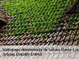 Nettoyage demoussage de toiture Haute-Loire