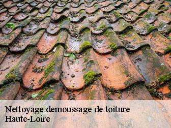 Nettoyage demoussage de toiture Haute-Loire 